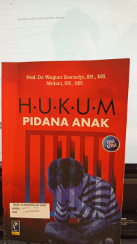 Hukum Pidana Anak Edisi Revisi